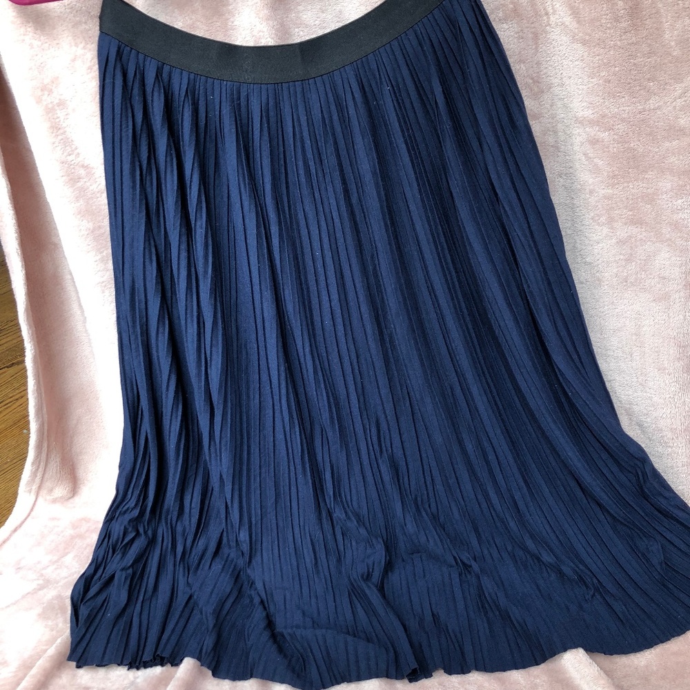 Pleated Skirt